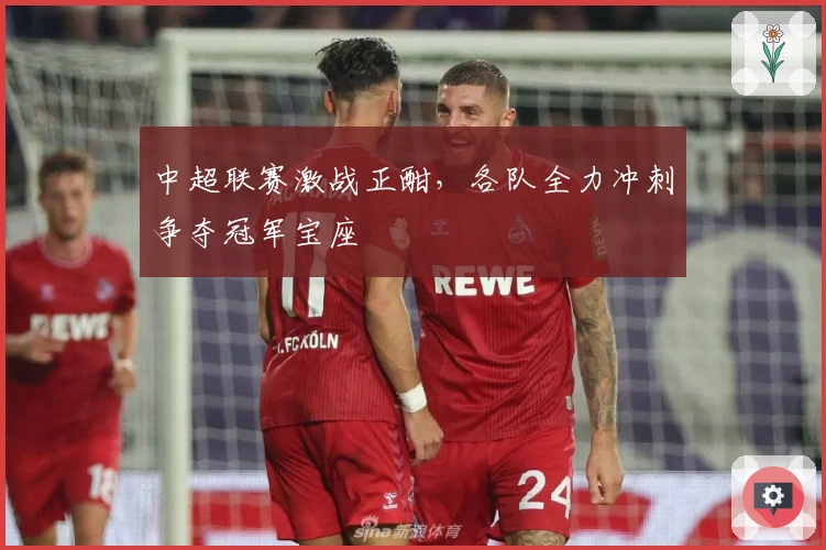 中超联赛激战正酣，各队全力冲刺争夺冠军宝座